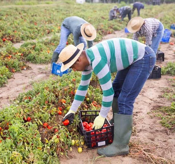 Inicio Ii E1768575904208